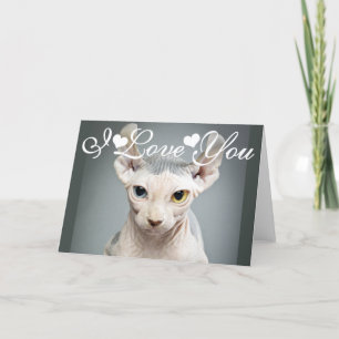Elf Sphinx Cat Photo Image I Love You Feiertagskarte