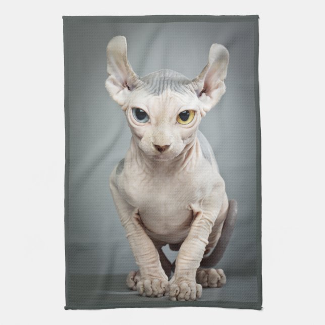 Elf-Sphinx-Katzen-Fotografie Küchentuch (Vertikal)