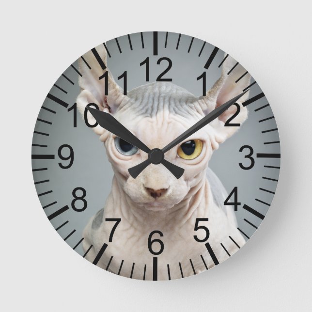 Elf-Sphinx-Katzen-Fotografie Runde Wanduhr (Vorderseite)