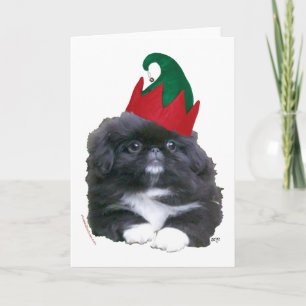 Elfen-Pekingese-Welpe Weihnachten