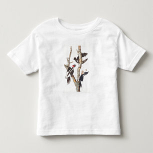 Elfenbein-berechneter Specht, 1829, (Druck) Kleinkind T-shirt