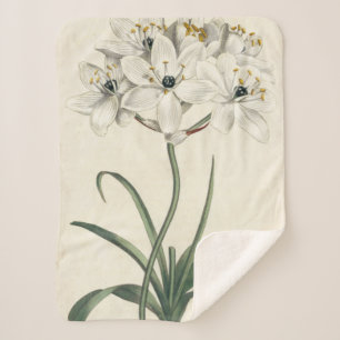 Elfenbein-Garten Sherpadecke