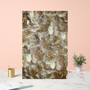 Elfenbein-Rosenmuster – Elegante Blumenskunst Acrylschild