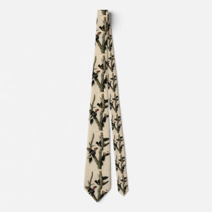 Elfenbeinflecker Audubons Vögel Amerikas Krawatte