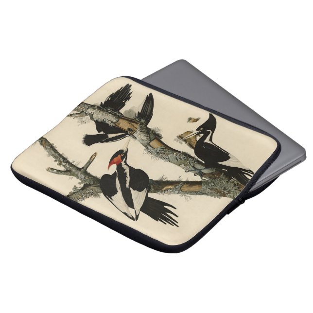 Elfenbeinflecker Audubons Vögel Amerikas Laptopschutzhülle (Vorne Oben)