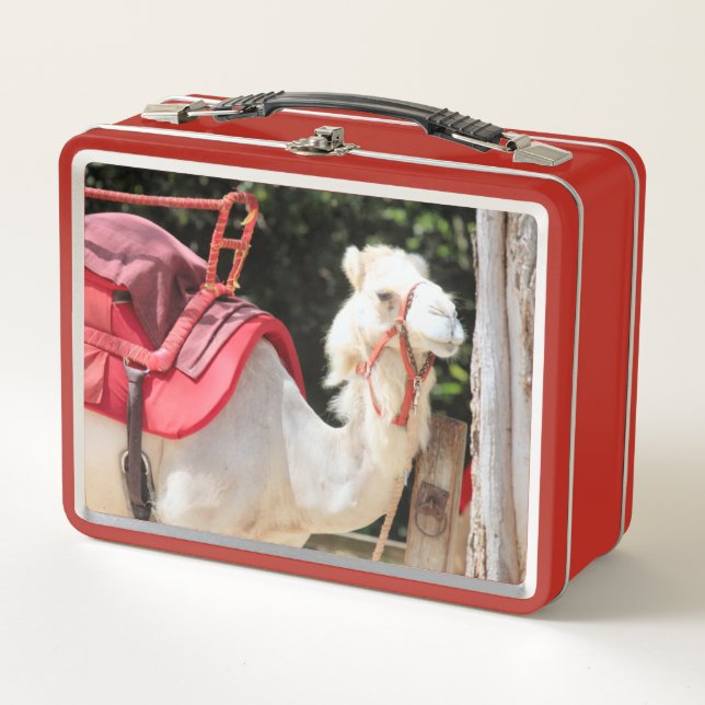 Elfenbeinkamel Metall Brotdose (Vorderseite)