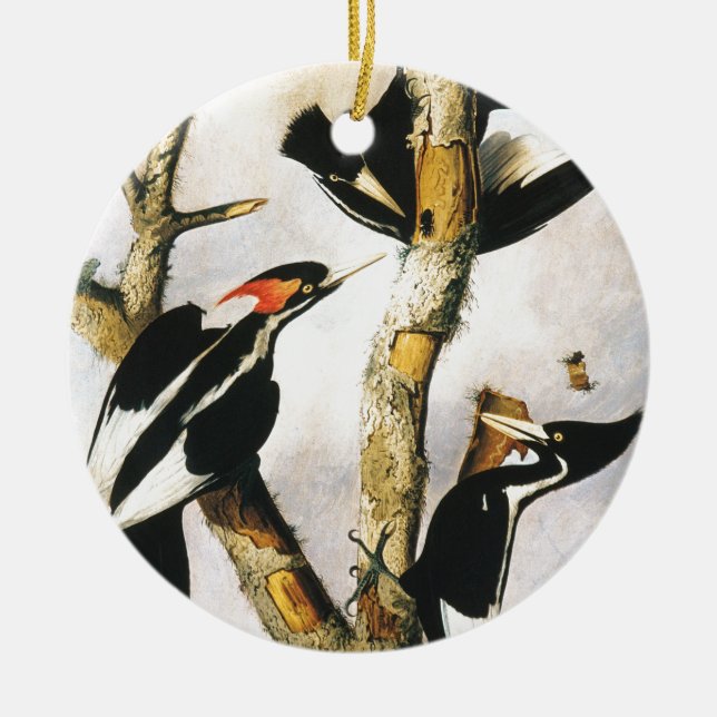 Elfenbeinspecht (Joseph Bartholomew Kidd) Keramikornament (Vorne)