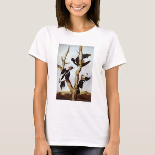 Elfenbeinspecht T-Shirt