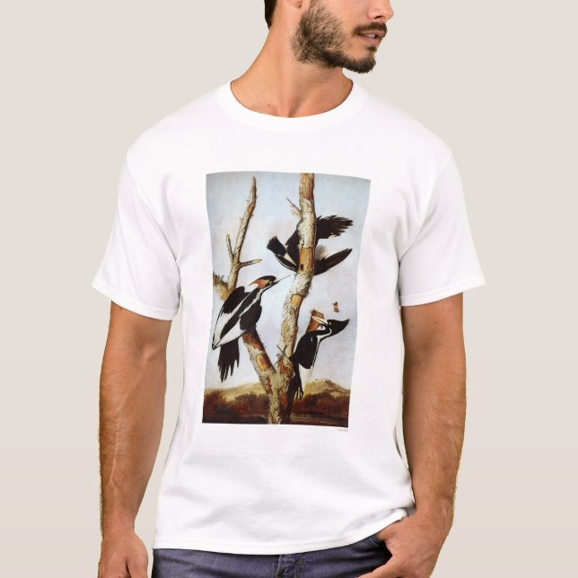 Elfenbeinspecht T-Shirt (Vorderseite)