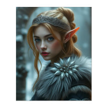 Elfenkriegerin: Nördliche Fey