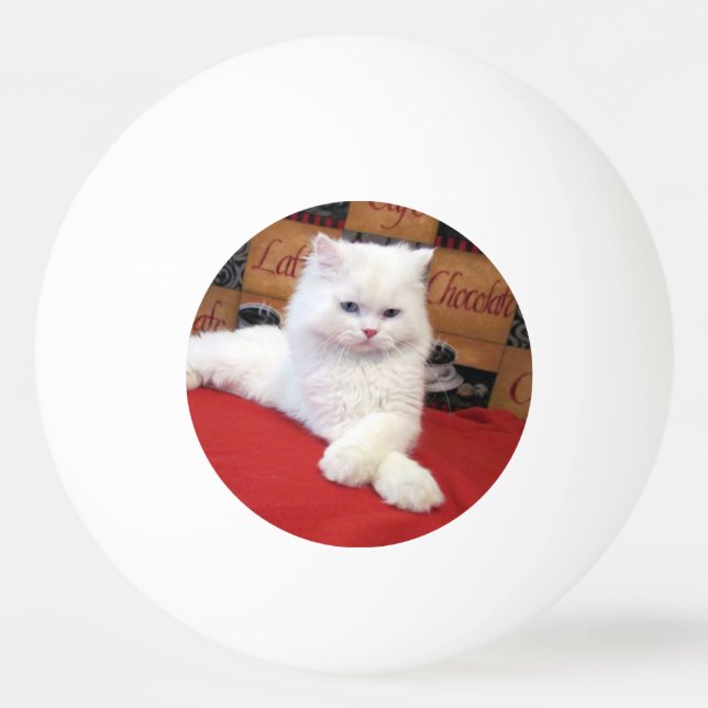 Eli - Persian Cat Ping Pong Ball Tischtennisball (Rückseite)