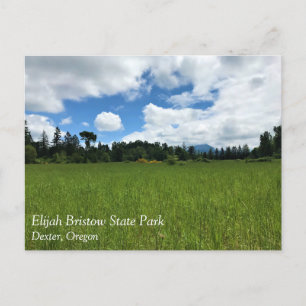 Elijah Bristow Staat Park, Dexter, Oregon Postcard Postkarte