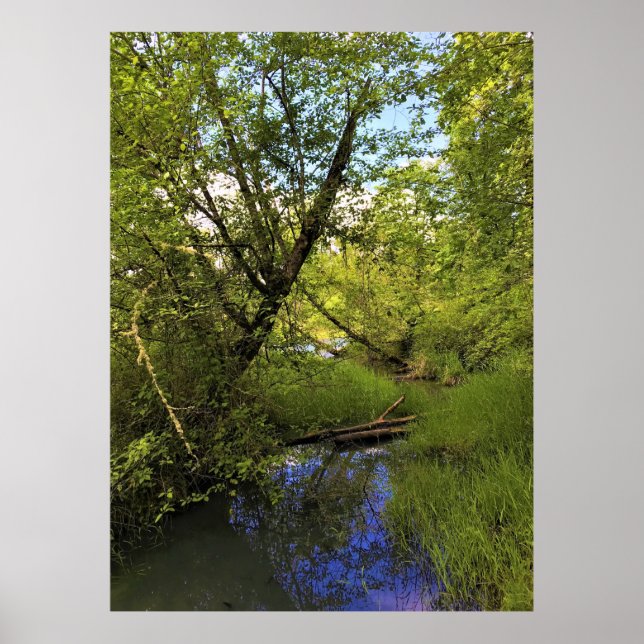 Elijah Bristow Staat Park, Dexter, Oregon Poster (Vorne)