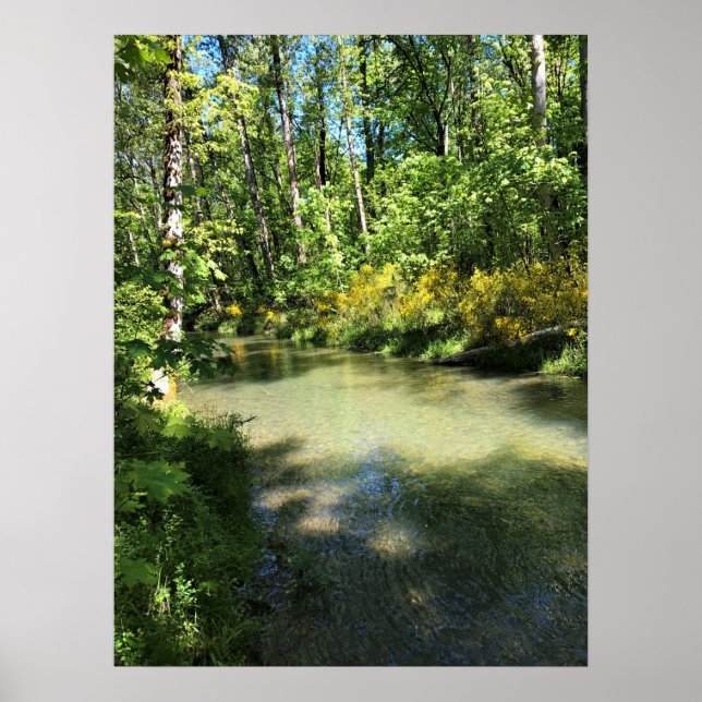 Elijah Bristow Staat Park, Dexter, Oregon Poster (Vorne)