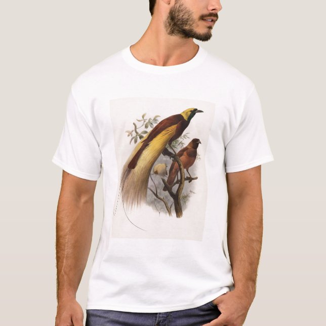 Eliot - Paradisea apoda - größerer Paradiesvogel T-Shirt (Vorderseite)