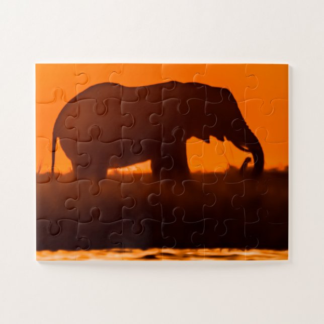 Eliphant Grazing bei Sunset Puzzle (Horizontal)