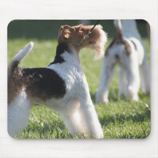 Eliza Mousepad (Vorne)