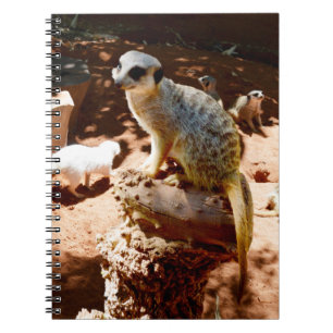 Eliza Queen of the Meerkats, Notebook Notizblock