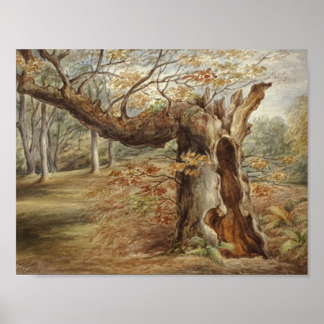 Elizabeth Murray - Rotting Tree Poster (Vorne)