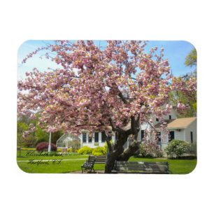 Elizabeth Park, Hartford, CT Magnet