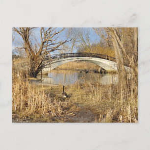 Elizabeth Park, Trenton, Michigan Postkarte