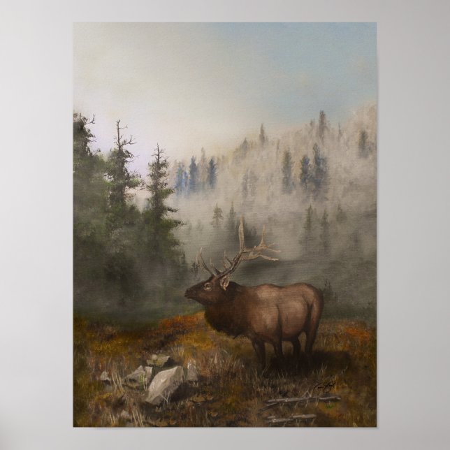 elk 12x16 poster (Vorne)