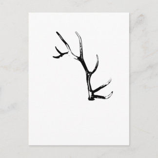 Elk Antler Postkarte