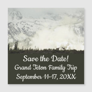 Elk at Grand Teton National Park Fotografy Magnetkarte