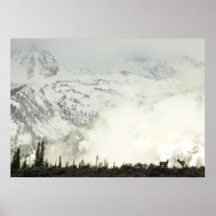 Elk at Grand Teton National Park Fotografy Poster