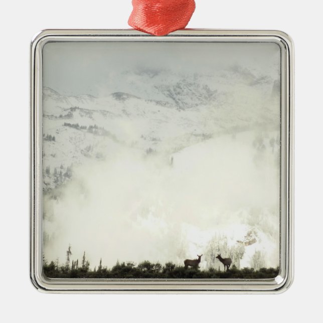 Elk at Grand Teton National Park Fotografy Silbernes Ornament (Vorne)