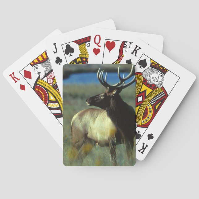 Elk Bicycle Playing Cards Spielkarten (Rückseite)