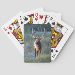 Elk Bicycle Playing Cards Spielkarten