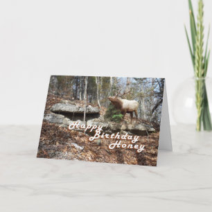 Elk Birthday card Karte