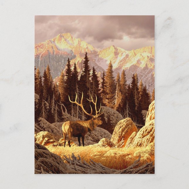 Elk Bull Postkarte (Vorderseite)