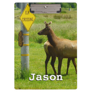 Elk Crossing California Wildlife Fotografie Klemmbrett