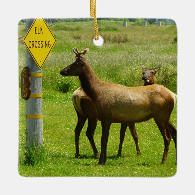 Elk Crossing California Wildlife Keramikornament (Vorderseite)