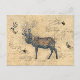 Elk Decoupage Vintag Ephemera Postkarte