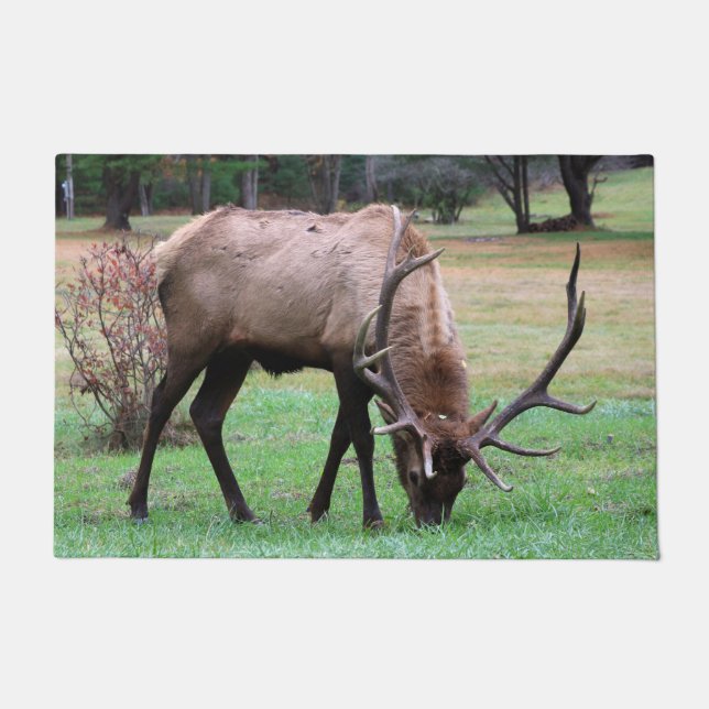 Elk Doormat Fußmatte (Vorderseite)