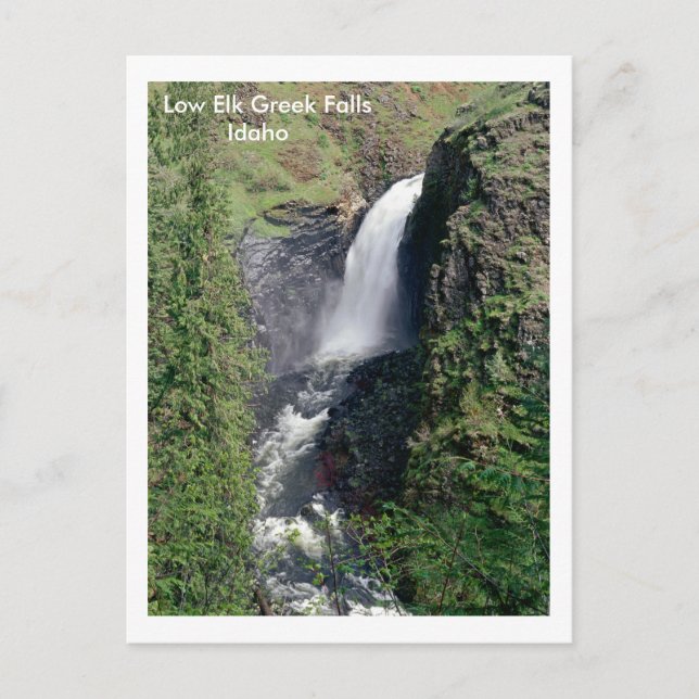 Elk Greece Falls, Idaho Postkarte (Vorderseite)