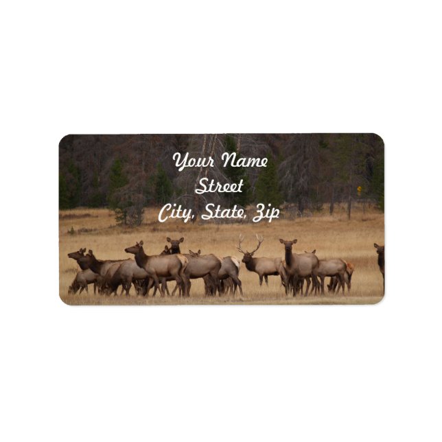 Elk Herd Address Sticker Adressaufkleber (Vorne)