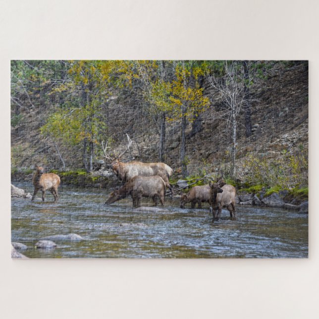 Elk Herd im Big Thompson River Puzzle (Horizontal)