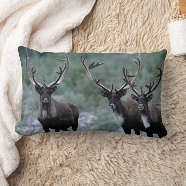 Elk Herd | Mt. Baring, Washington Lendenkissen (Decke)