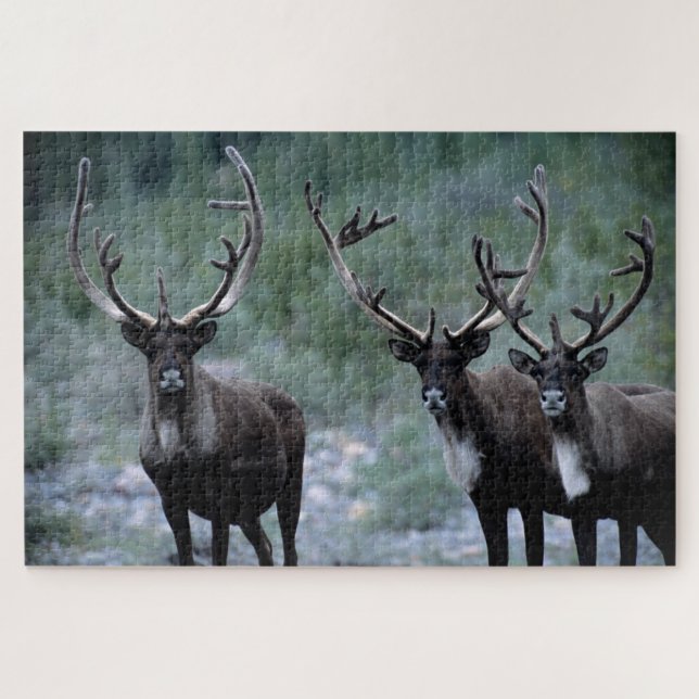 Elk Herd | Mt. Baring, Washington Puzzle (Horizontal)