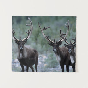 Elk Herd Mt. Baring, Washington Wandteppich
