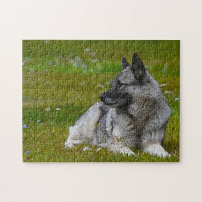 Elk Hound Hund. Puzzle (Horizontal)