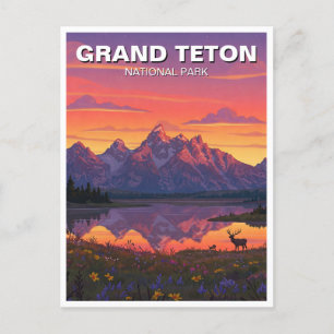 Elk im Grand Teton Nationalpark Postkarte
