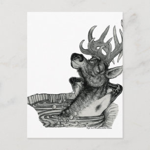 ELK IN HOT TUB POSTKARTE