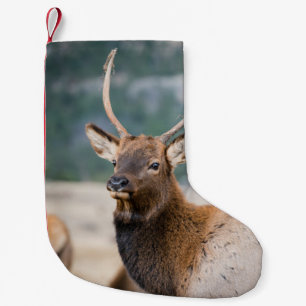 ELK IN ROCKY MOUNTAIN NATIONAL PARK - ELK HERK GR KLEINER WEIHNACHTSSTRUMPF