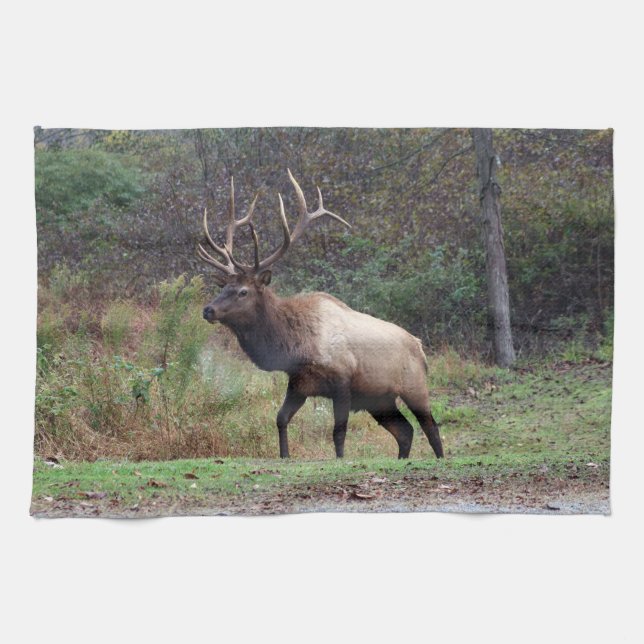 Elk Kitchen Handtuch (Horizontal)