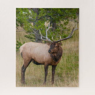 Elk Lake Village Yellowstone Nationalpark Wyoming Puzzle